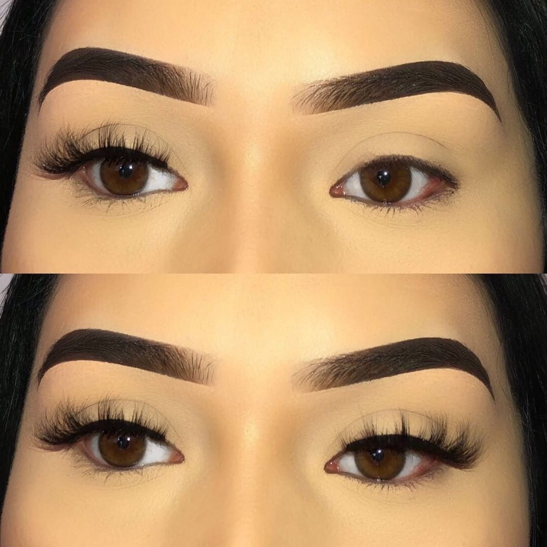 Honey - Lash Barb - False Lashes