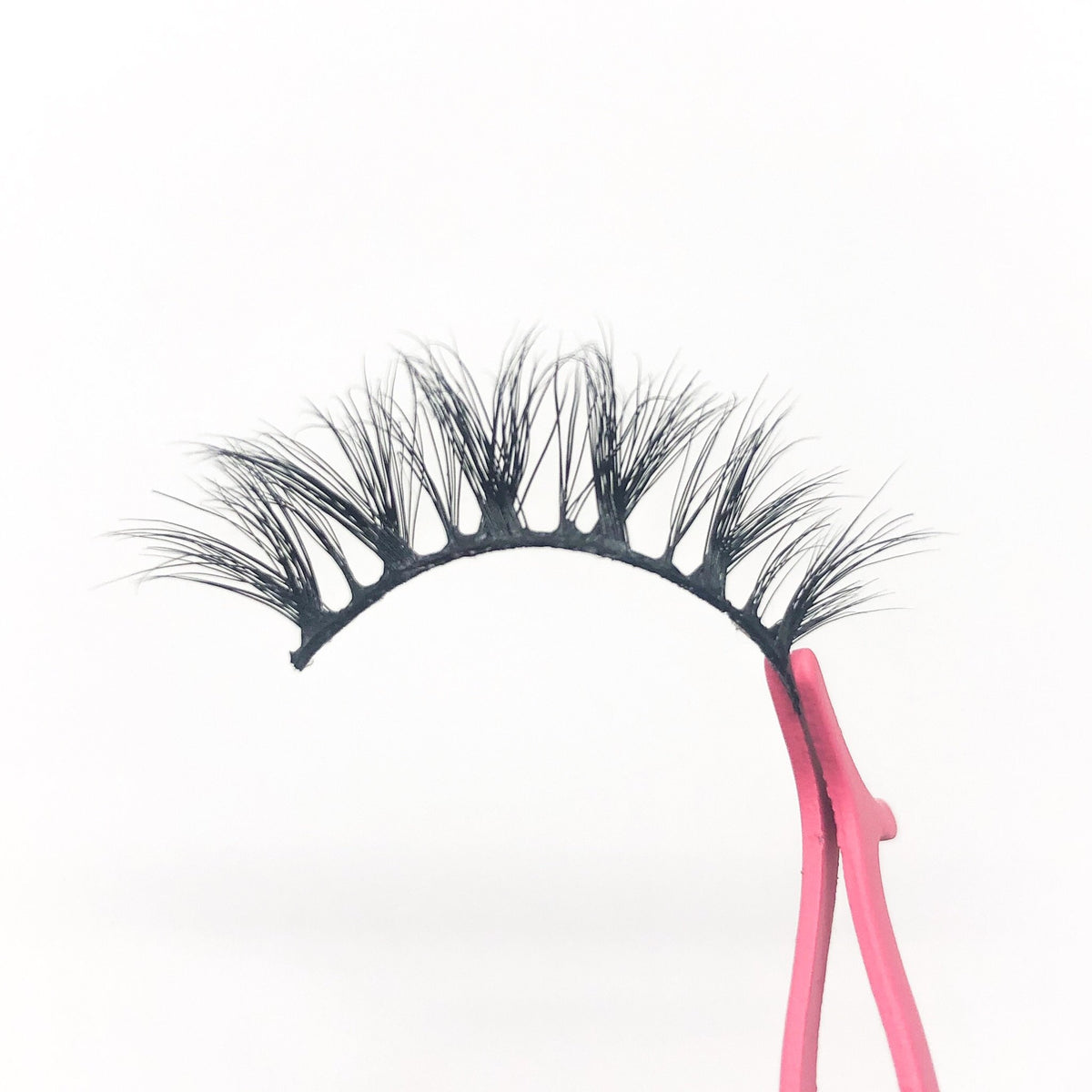 Cali - Lash Barb - False Lashes
