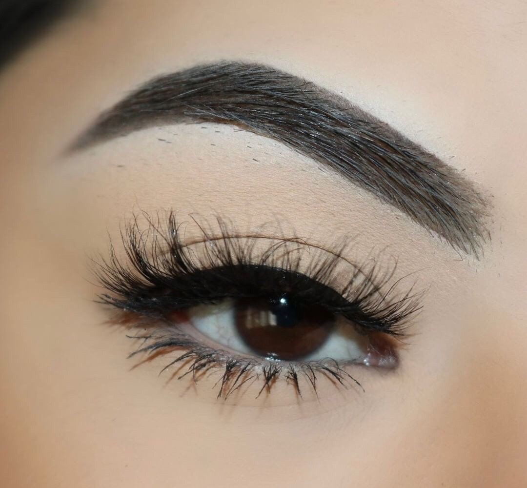 Honey - Lash Barb - False Lashes
